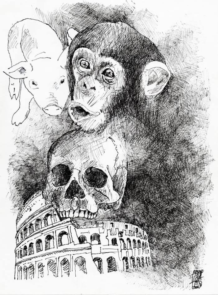 12088271_1185608448122585_3305105032052546756_n